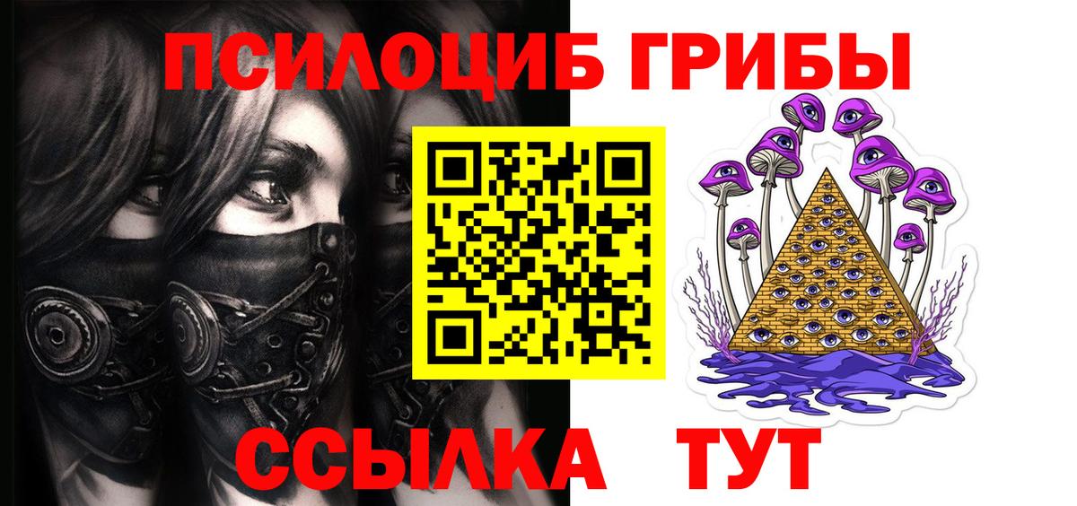 Кольчугино  Галлюциногенные грибы прущие грибы  Вход с VPN 