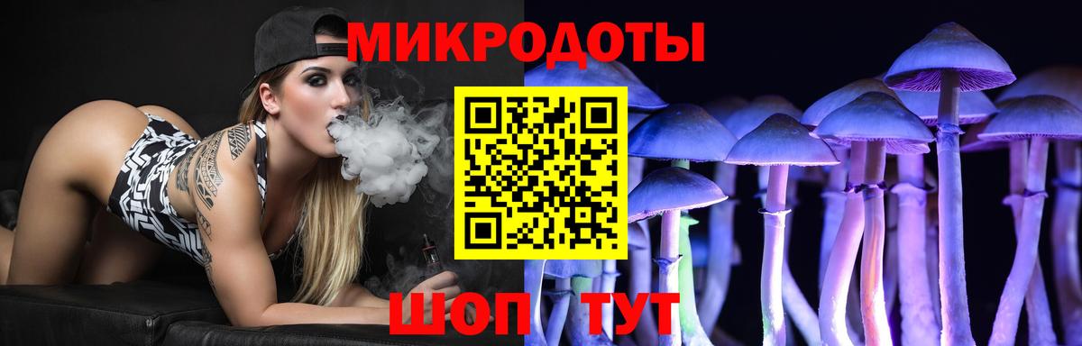 Псилоцибиновые грибы GOLDEN TEACHER Кольчугино
